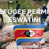 Refugee Permit: Legal Protection for Asylum Seekers in Eswatini