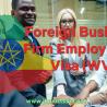  Foreign Business Firm Employment Visa (WV) in Ethiopia: Procedure, Requirements, and Fees