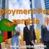 Temporary Employment Permit in Zambia