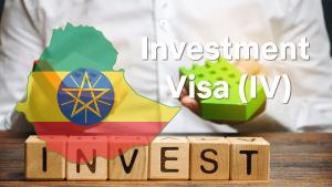 Investment Visa (IV): Engaging in Investment Activities in Ethiopia - Requirements and Application Guide