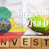 Investment Visa (IV): Engaging in Investment Activities in Ethiopia - Requirements and Application Guide