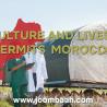 Morocco Agriculture and Livestock Permits \u2013 Operate Legally in Farming and Production