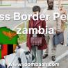 Comprehensive Guide to Zambia\u2019s Cross Border Permit