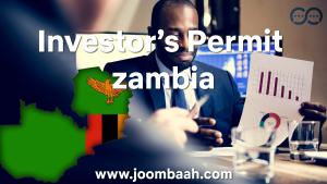 A Comprehensive Guide to Zambia\u2019s Investor\u2019s Permit