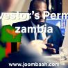 A Comprehensive Guide to Zambia\u2019s Investor\u2019s Permit