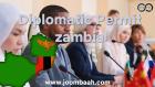 Comprehensive Guide to Zambia\u2019s Diplomatic Permit