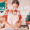 Special Skills Permit in Mozambique \u2013 Work Opportunities for Skilled Professionals