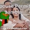 Comprehensive Guide to Zambia\u2019s Spouse Permit