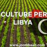 Agriculture Permit in Libya \u2013 Empowering Agribusiness Ventures