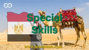 Egypt Special Skills Permit \u2013 For Exceptional Talent and Expertise