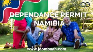 Namibia Dependant Permit \u2013 Residency for Family Members