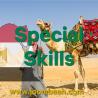 Egypt Special Skills Permit \u2013 For Exceptional Talent and Expertise