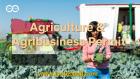 Egypt Agriculture and Agribusiness Permit \u2013 Unlock Opportunities in Egypt\u2019s Agricultural Sector