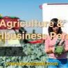 Egypt Agriculture and Agribusiness Permit \u2013 Unlock Opportunities in Egypt\u2019s Agricultural Sector