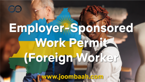 Employer-Sponsored Work Permit (Foreign Worker with Required Qualifications)