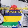 Mauritius Tax Identification Number (TIN) \u2013 Ensure Tax Compliance for Your Business