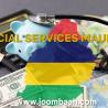 Mauritius Financial Services Permit \u2013 Legally Operate in the Financial Sector