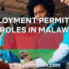 Employment Permit (EP): NGO Roles in Malawi \u2013 Requirements and Application Process