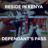 Dependent\u2019s Pass in Kenya: Requirements and Application Guide