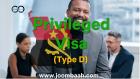 Type D Privileged Visa in Angola