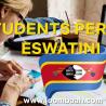 Student Permit in Eswatini