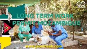 Mozambique Long-Term Work Permit: Eligibility, Application Process, and Requirements