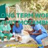 Mozambique Long-Term Work Permit: Eligibility, Application Process, and Requirements