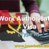 Type A Angola Work Authorisation Visa: Work Legally in Public Institutions