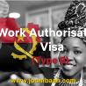 Type B Angola Work Authorisation Visa: Independent and Cultural Work Opportunities