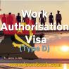 Type D Angola Work Authorisation Visa: Careers in Commerce, Industry, and Aeronautics