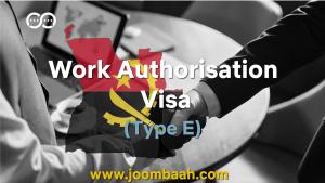 Type E Angola Work Authorisation Visa: Careers under Cooperation Agreements