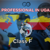 Class F Permit - Professionals in Uganda: Requirements and Application Guide