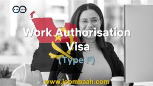 Type F Angola Work Authorisation Visa: Careers in Unclassified Sectors