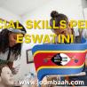 Special Skills Permit: Work and Contribute Your Expertise in Eswatini