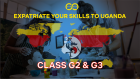 Class G2 - Expatriate Employees Permit: Requirements, Fees, and Application Process in Uganda