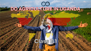 Comprehensive Guide to the Class B1 - Agriculture Permit in Uganda