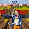 Comprehensive Guide to the Class B1 - Agriculture Permit in Uganda